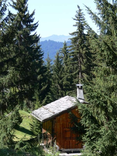 Large photo of La Tania